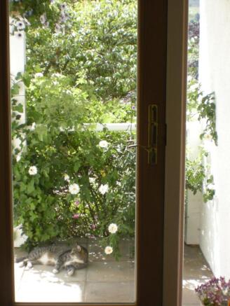 Photo 23