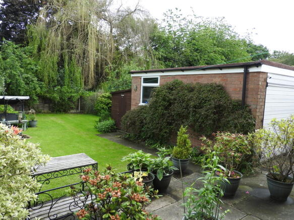 Photo 11
