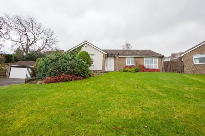 Picture No.17