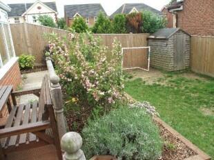 Rear Garden 2