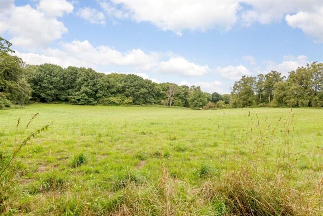 Field