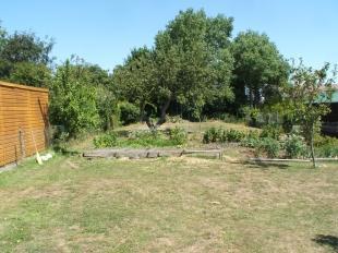 Rear Garden 2