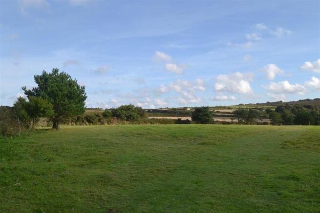 Field view 2.JPG
