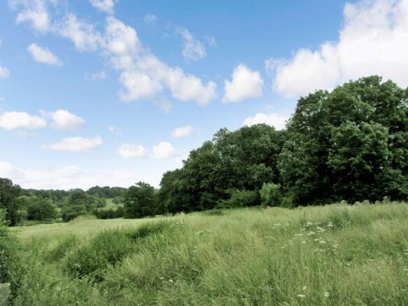 Meadow view