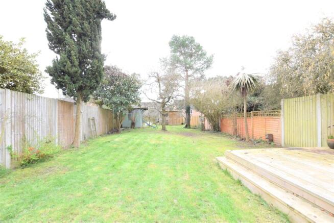 Back Garden