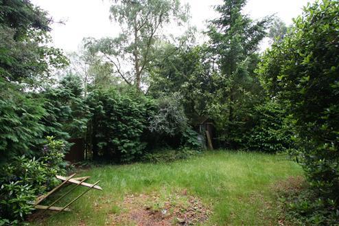 Rear Garden Alternate