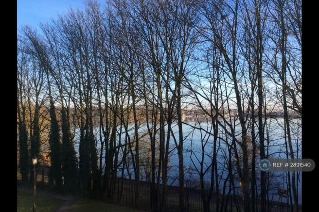 View From All Windows