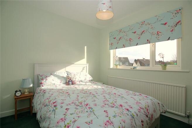 Picture 7