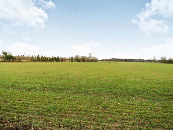 Field View.JPG
