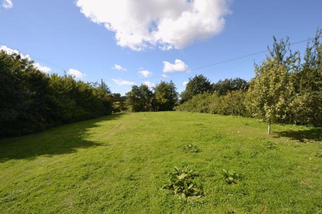 Lawn