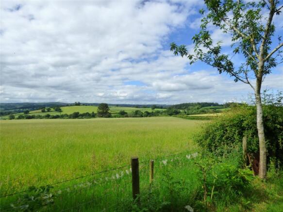 Far Reaching Views