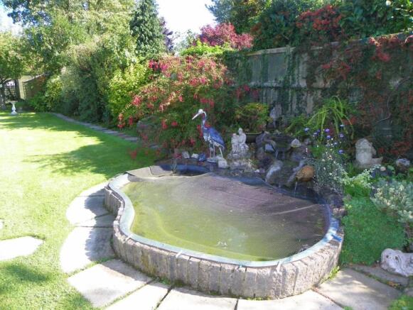 pond