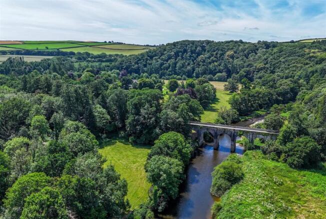 1319194 (7) Drone.jpg