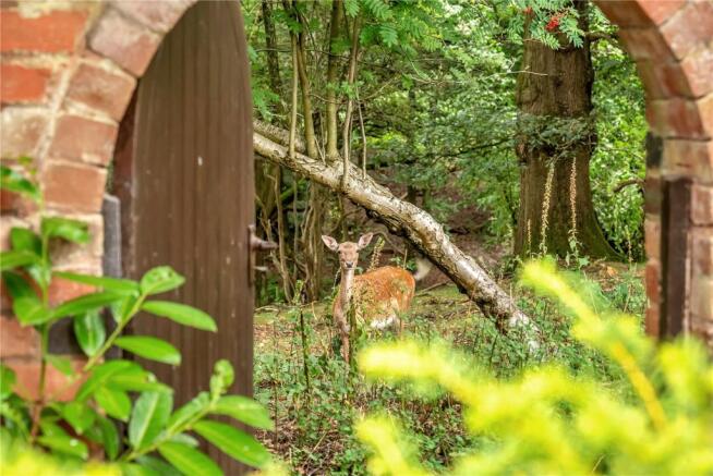 Gate Into The Chase