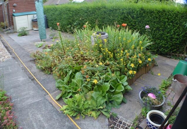 Photo 32