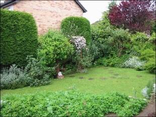 The garden
