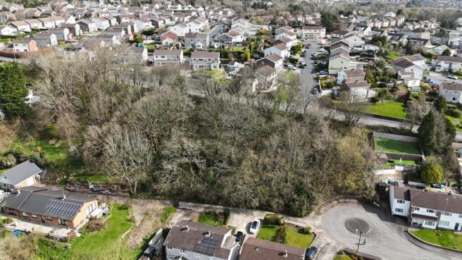 IMG 4128 T202603251628.jpeg