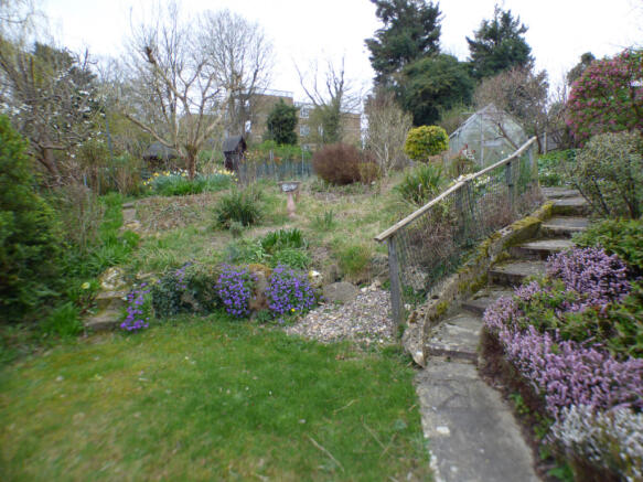 Lower Lawn Area