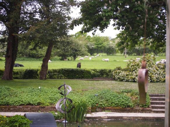 Rear Gardens
