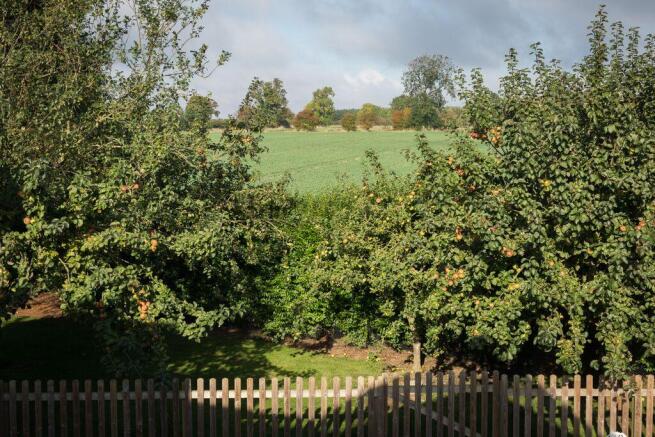 Field Views