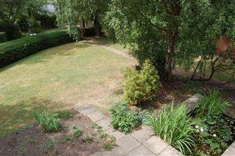Garden from balcony