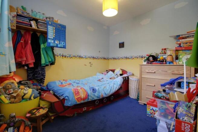 Picture 8