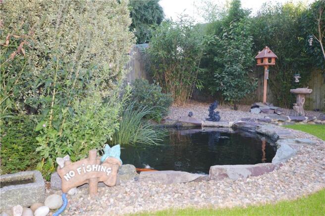 Pond