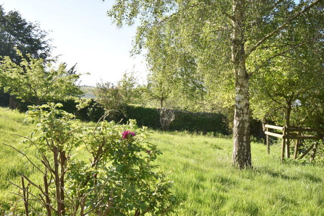 Photo 38