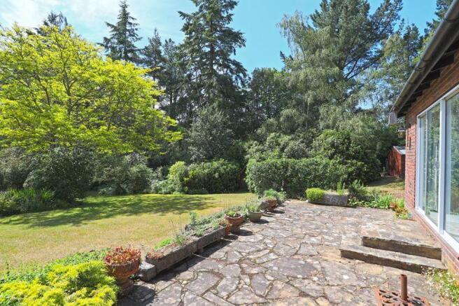 Patio and Garden