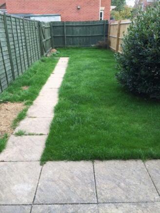 Back garden