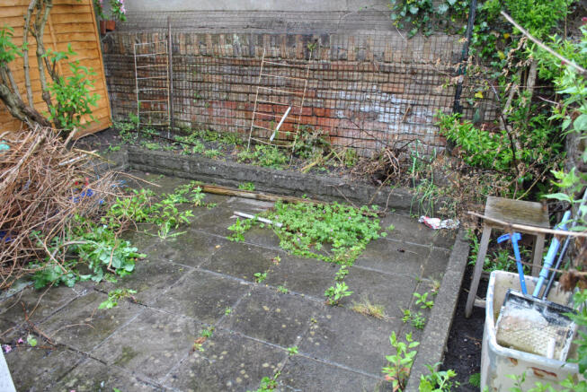 Back garden