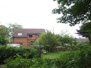 Photo 44