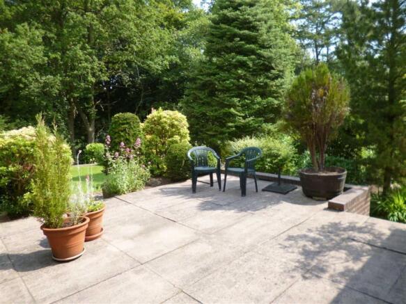 Patio Area