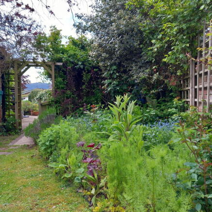 Photo 28