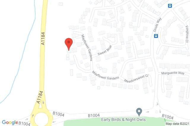 Google Maps Image