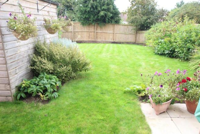 Garden 2.JPG