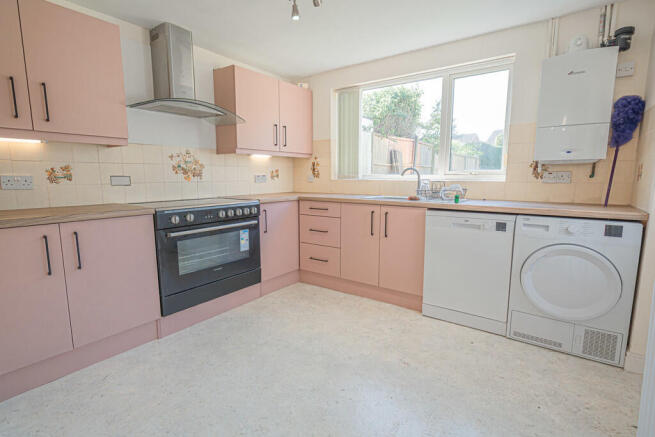 20250501-DSC04124...