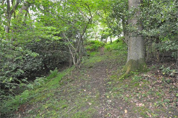 Woodland