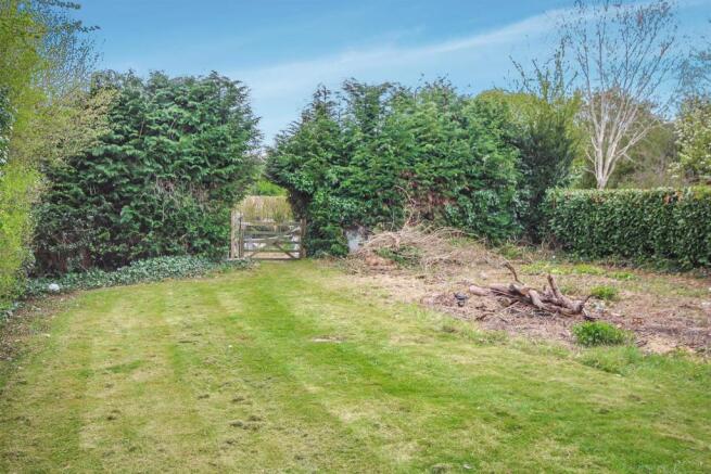 garden x 2.jpg