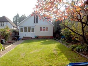 Rear view of house