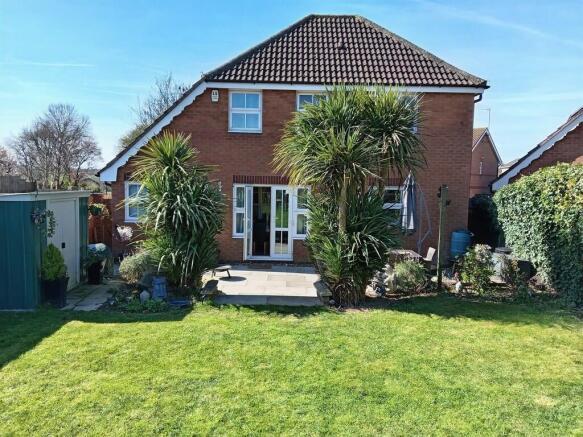 IMG-20260321-WA00...