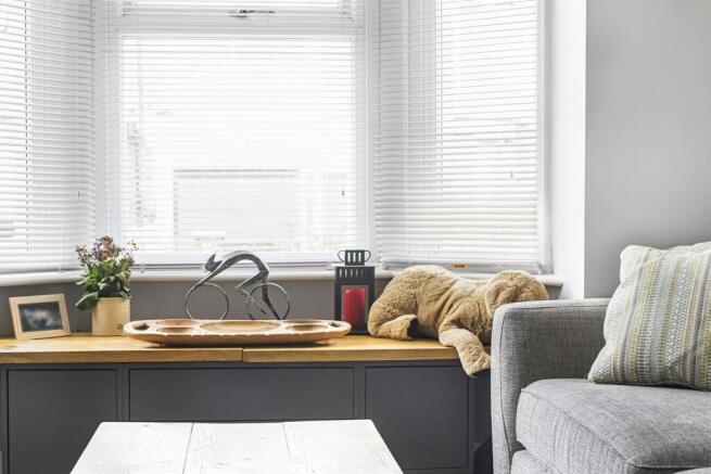 Living Room/Bedroom 