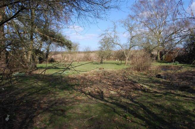 ORCHARD
