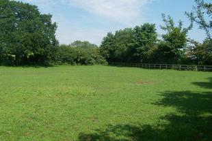PADDOCKS