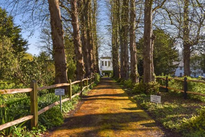 Footpath