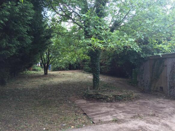 garden 2.jpg