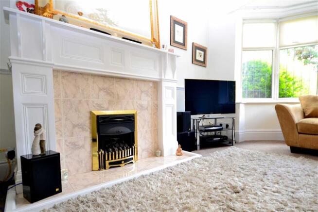 ADDITIONAL IMAGE FIREPLACE