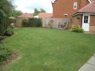 Garden Shot 1