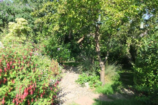 GARDEN