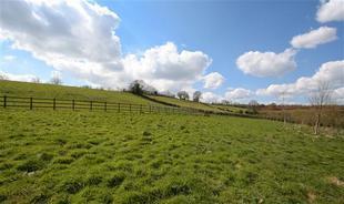 Paddocks